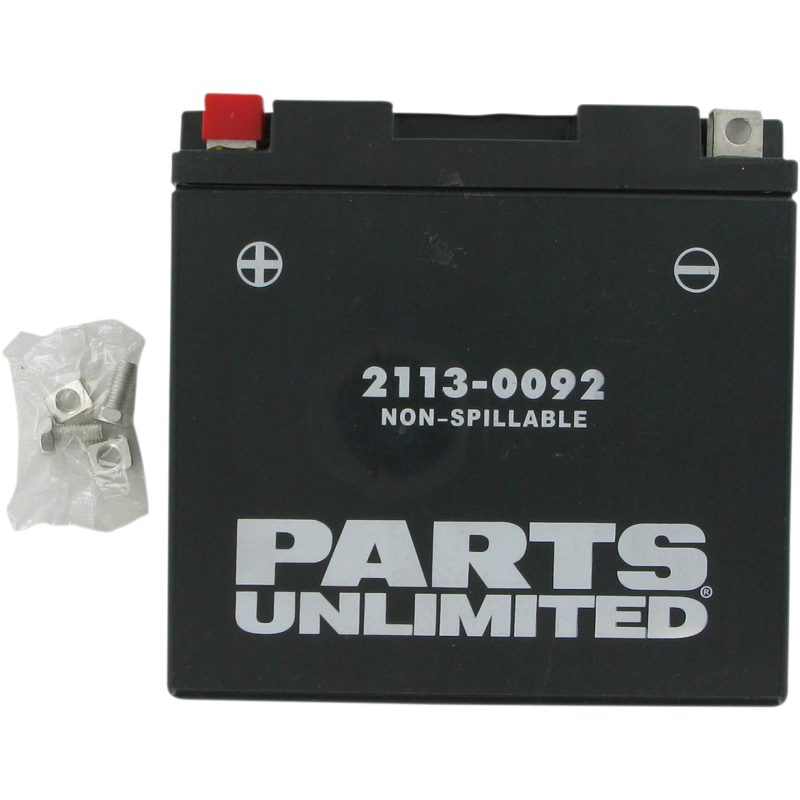 Factory-Activated AGM Maintenance-Free Battery YT14B-BS/YT14B4