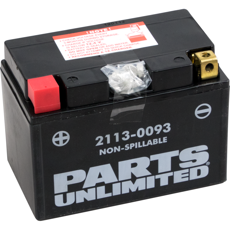 Factory-Activated AGM Maintenance-Free Battery YTZ14S