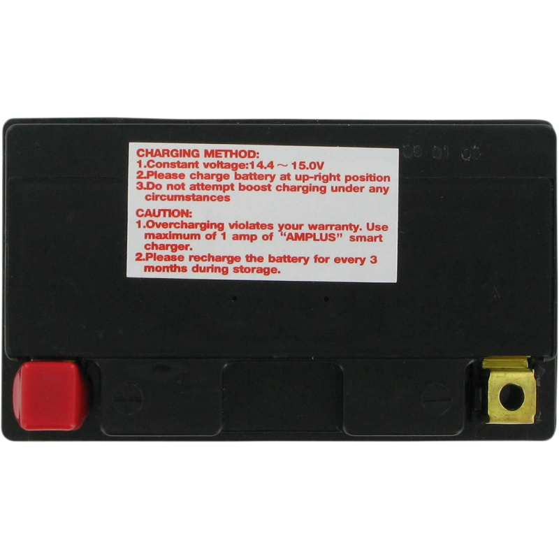 Factory-Activated AGM Maintenance-Free Battery YTZ14S