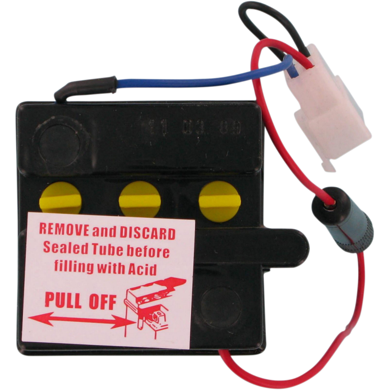 6V Conventional Battery 6N4C-1B