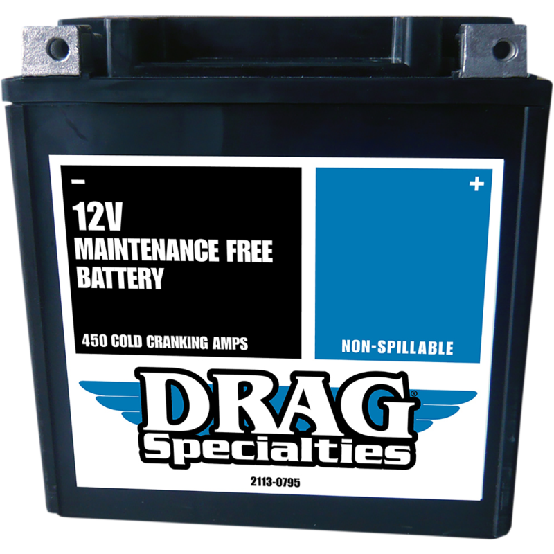 AGM Battery YTX30L FA FT