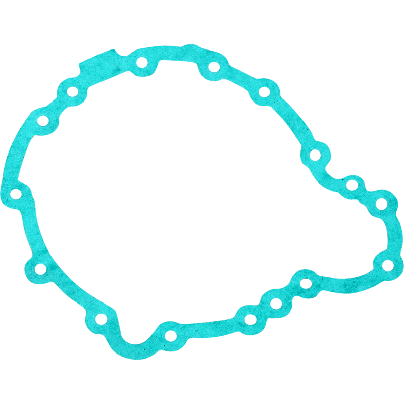 Stator Gasket for Triumph Tiger 1050 11-12