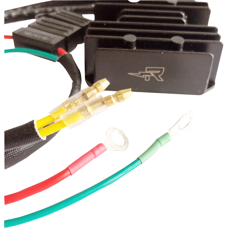 Rick's Motorsport Electrics Lithium-Ion Friendly Charging Kits