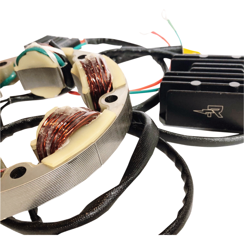 Rick's Motorsport Electrics Lithium-Ion Friendly Charging Kits