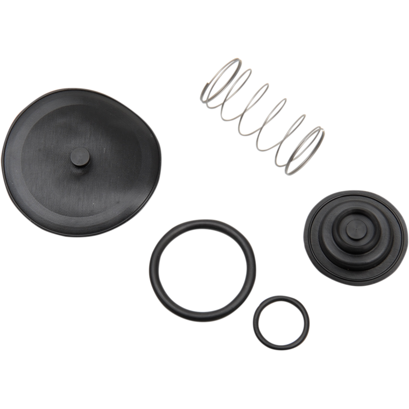 Fuel Petcock Repair Kit