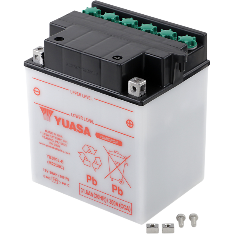 Yuasa Yumicron 12V Battery YB30CL-B