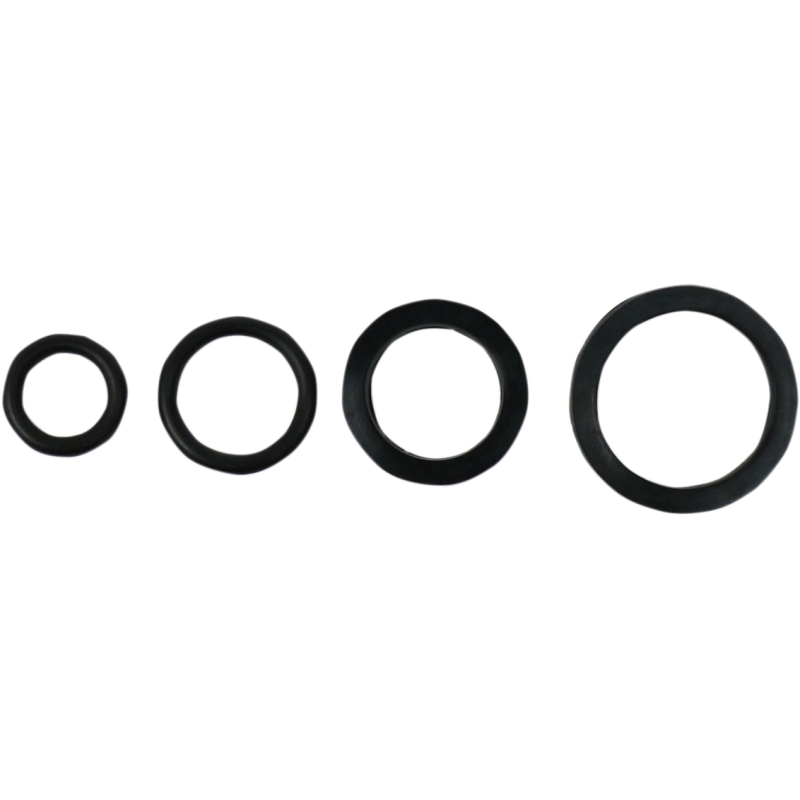 Fuel Petcock Repair Kit