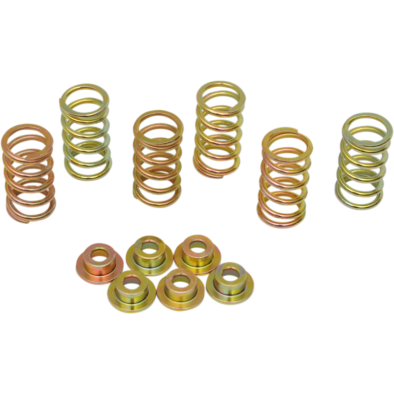 Clutch Springs 1131-0078 for Ducati Smart 1000/Sport 1000 06