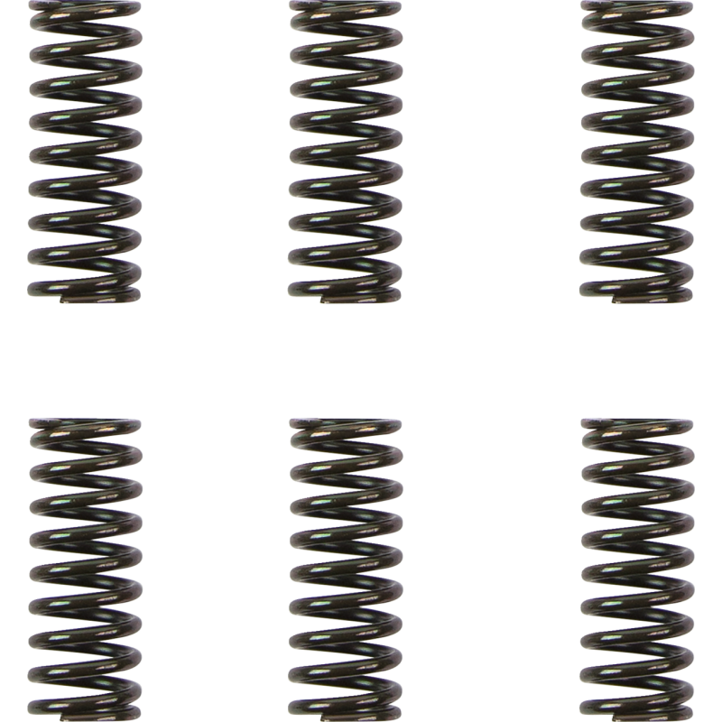 Barnett Heavy-Duty Spring Set for Ducati 800 S2R 06-07
