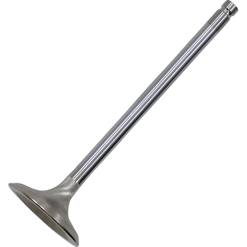 White Diamond Inconel Exhaust Valve 0926-3410