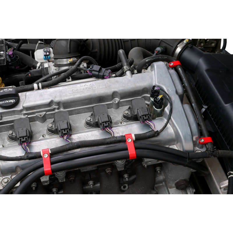 Show Chrome Hose Clamp Set for Polaris Slingshot