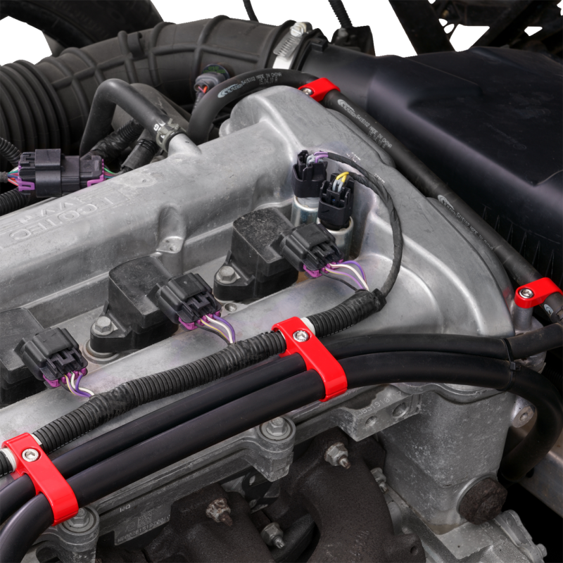 Show Chrome Hose Clamp Set for Polaris Slingshot