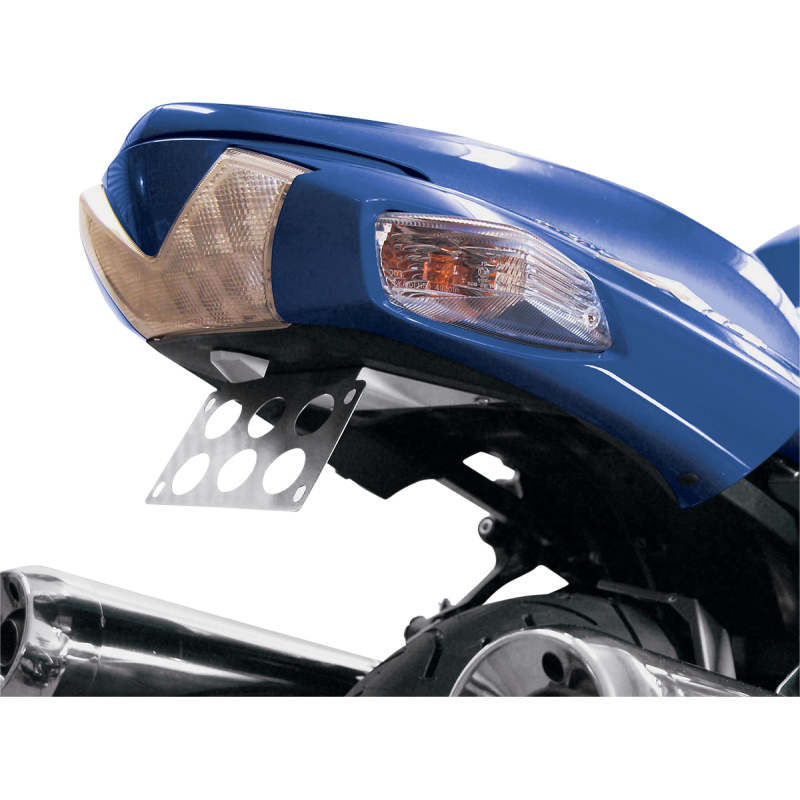 Standard Fender Eliminator Kit for Kawasaki ZX-14 06-20